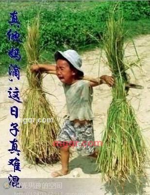 你的样子一??的第3张照片