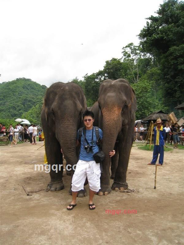 风里笑着的第2张照片