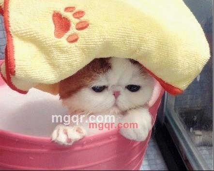 风华雪月繁华陌路的第2张照片