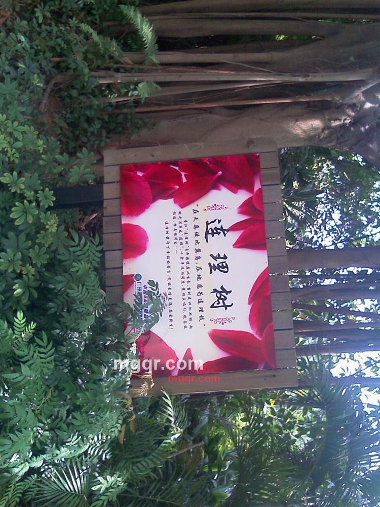 深夜找浪漫的第1张照片