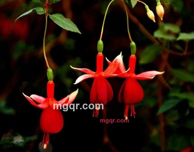 普男006的第3张照片