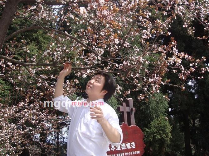 4638的第1张照片