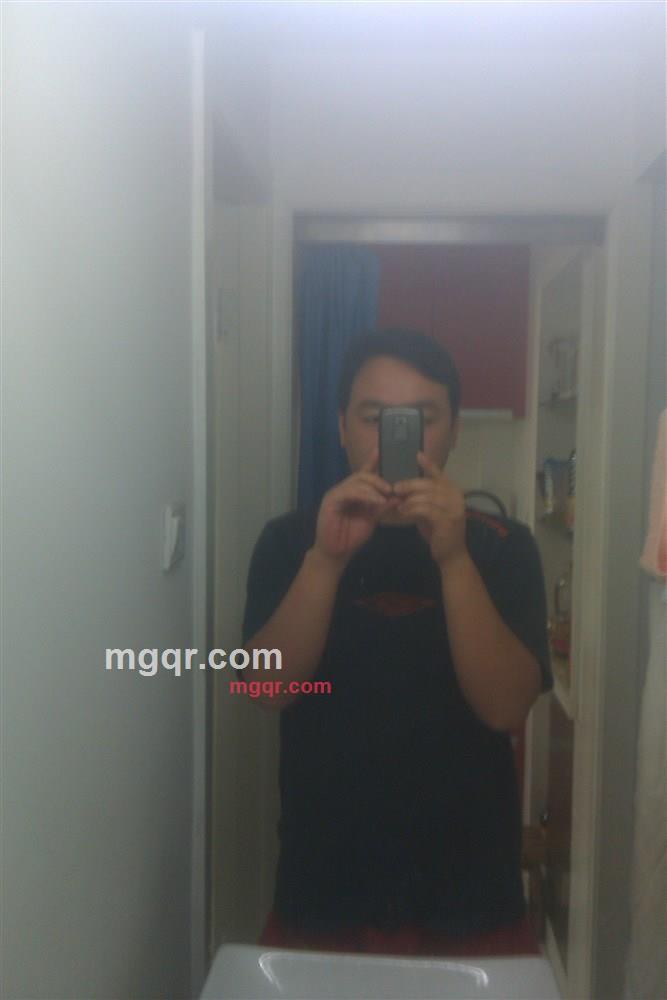 勤劳+蜜蜂的第1张照片