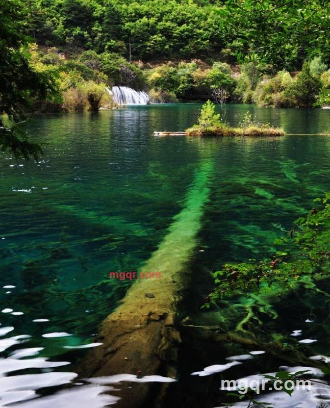 人类型男的第6张照片