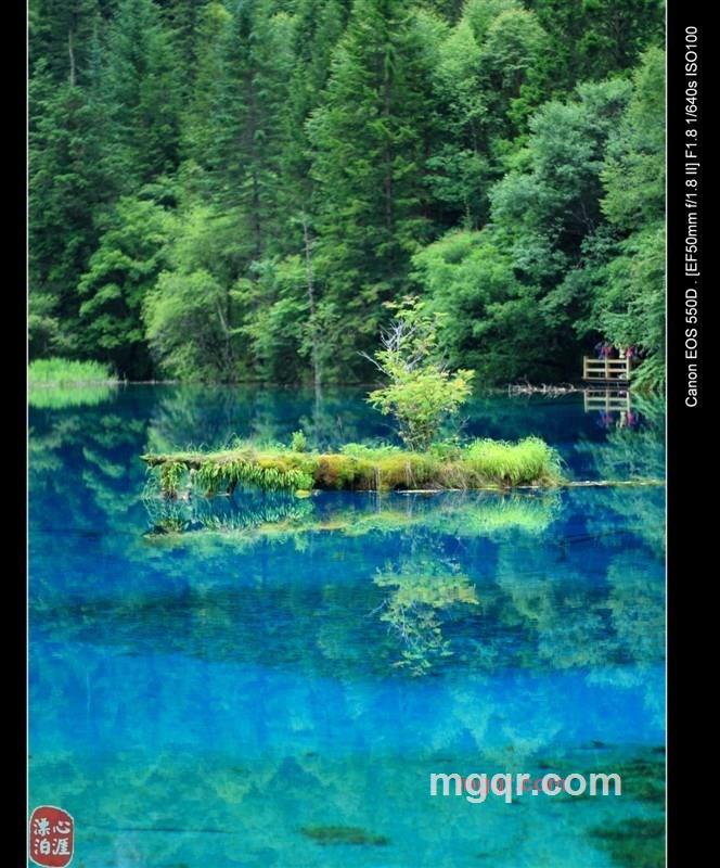 人类型男的第4张照片