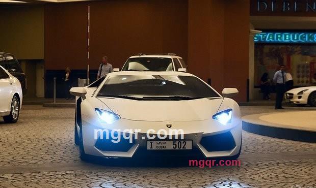 **八次男的第4张照片