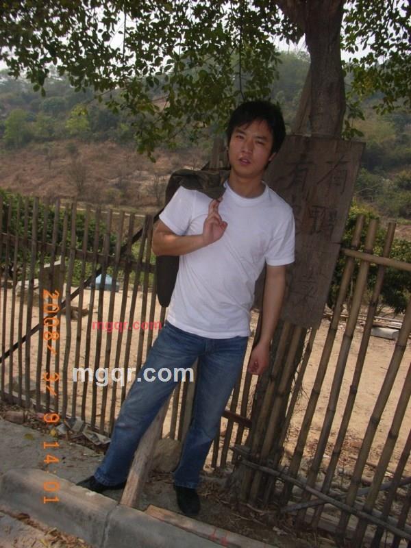 琴声悠扬的第2张照片