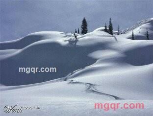 银色帝国的第3张照片