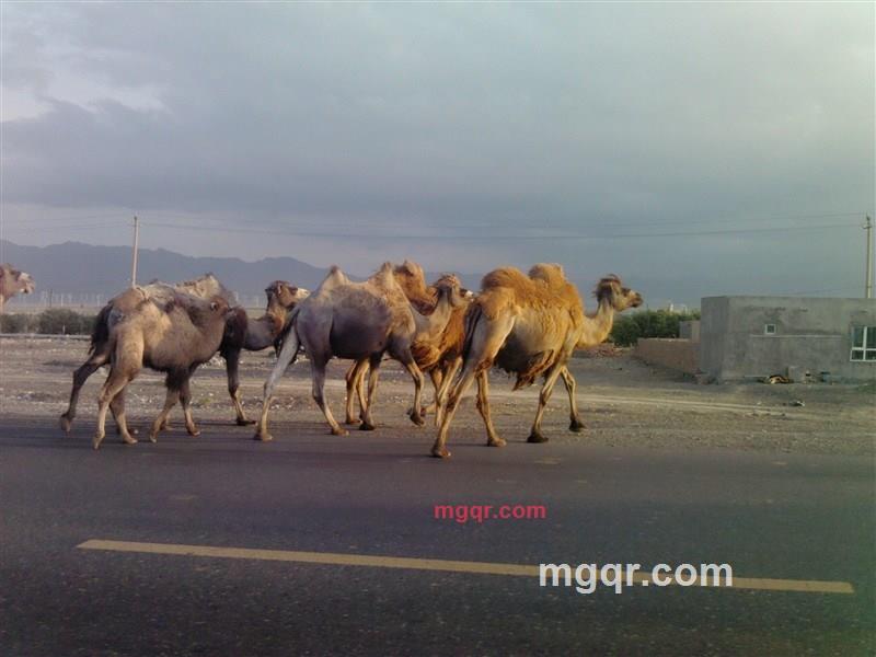 我只有我自己的第1张照片