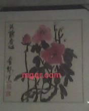 韩会乾乾的第1张照片