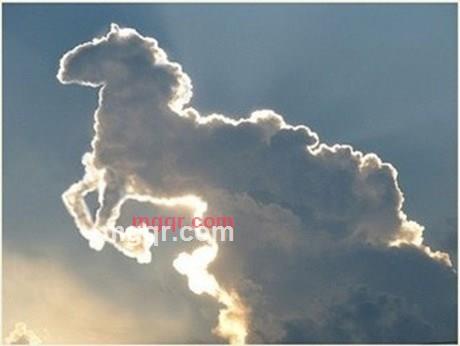 我都不信邪的第1张照片