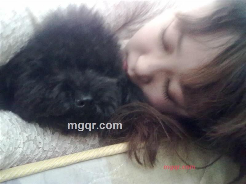 ___丶慵懒如猫的第3张照片