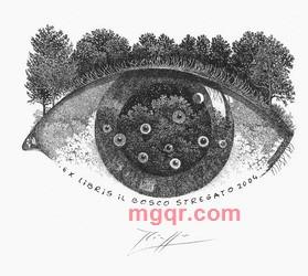 泰勒66的第1张照片