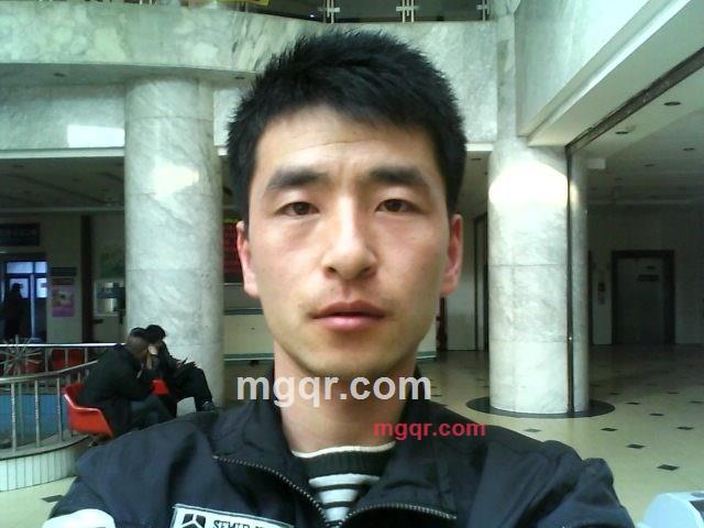 有情人有情人的第1张照片