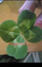 衣领欺凌齐齐伞丝丝另的第1张照片