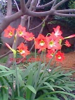 只为·激情的第1张照片