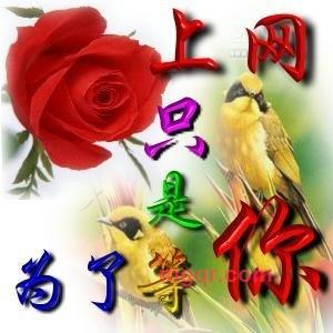 天使在召唤的第1张照片