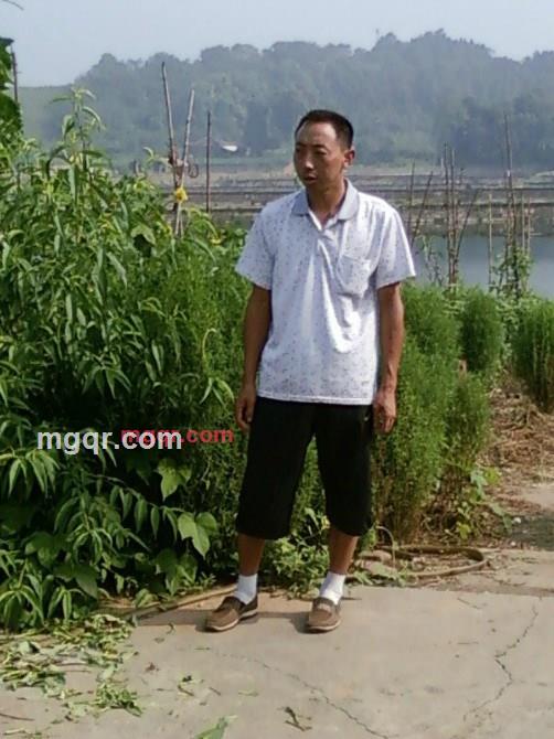 zh720520的第3张照片