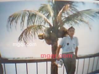 古筝(高山流水)的第1张照片