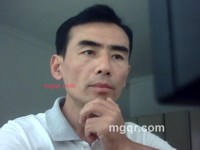 风卷杨柳的第1张照片