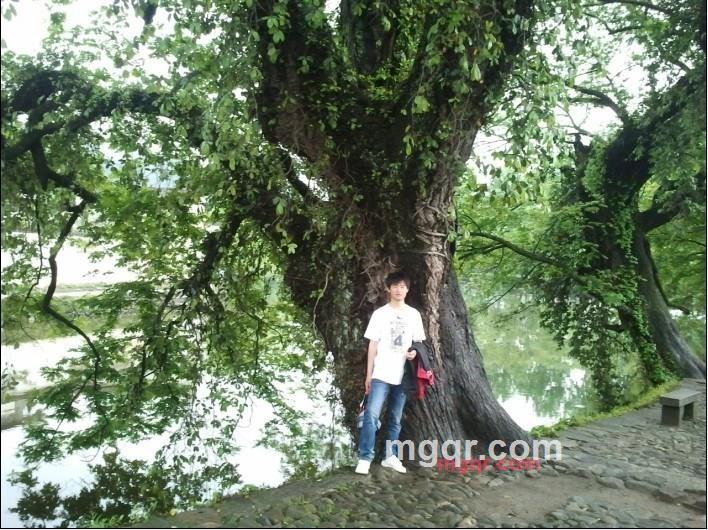 漫步1943的第2张照片