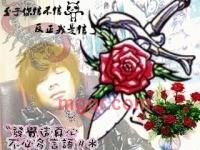 来自北方的狼520的第2张照片