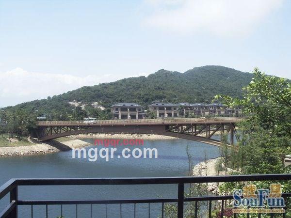 痴情love的第2张照片