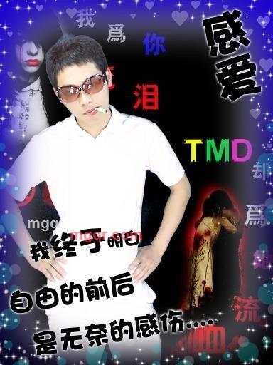 皇宫一号的第5张照片