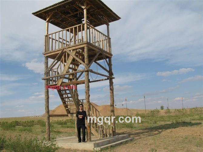 心一冷。心一醉的第1张照片