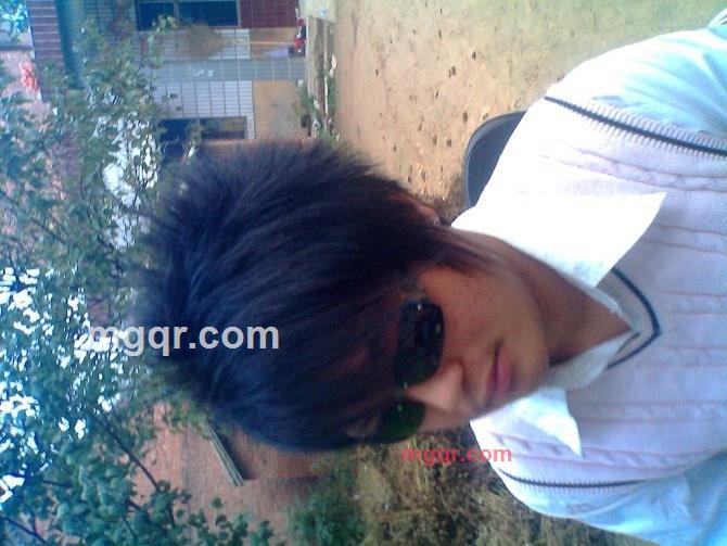 西伯利亚.狼的第1张照片