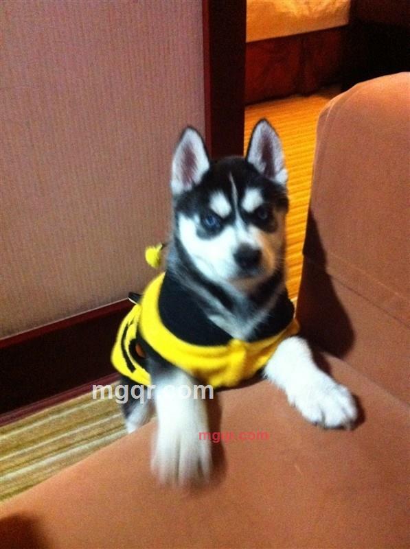 Inclusive的第3张照片