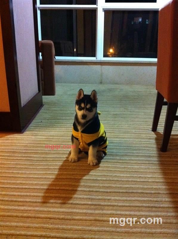 Inclusive的第2张照片