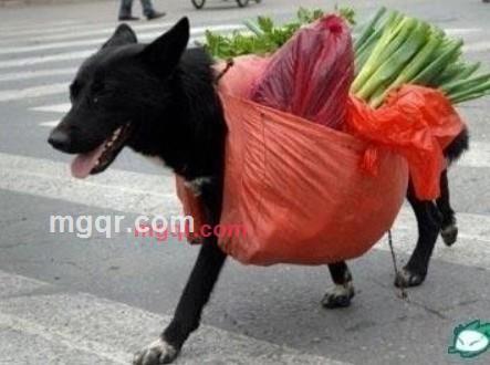 无泪的心声的第5张照片