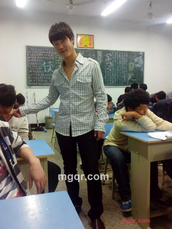 温暖的怀抱的第2张照片