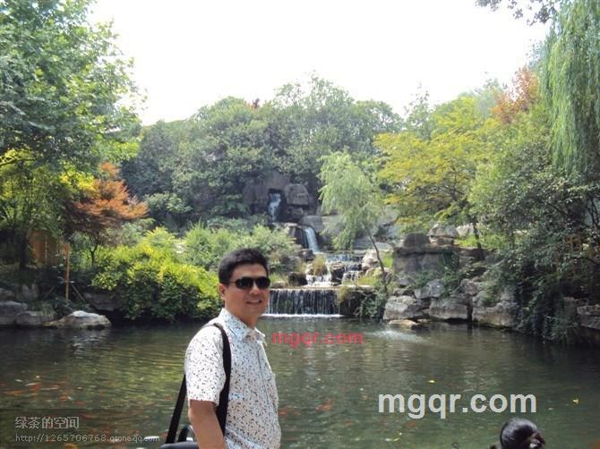 极品龙井的第1张照片