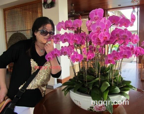 麦莎33的第2张照片