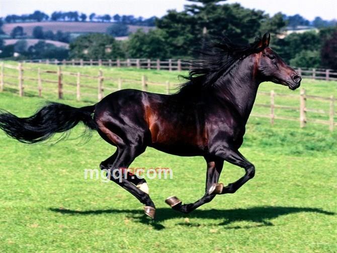 已把妻儿久留旧物伊尔的第1张照片