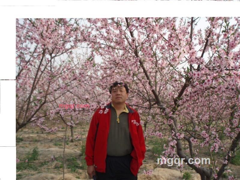 勾勾的第1张照片