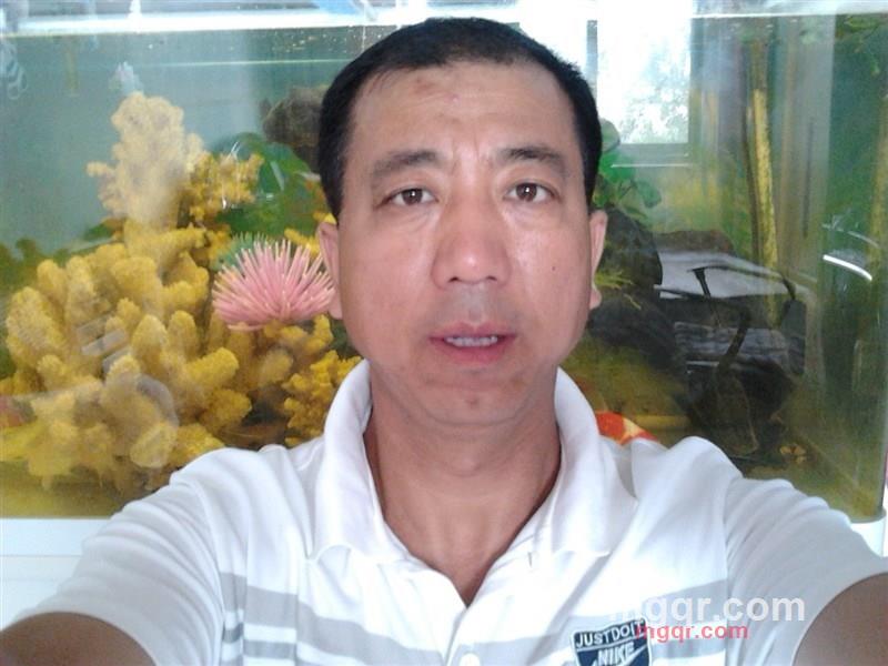 弯弓雕龙的第1张照片