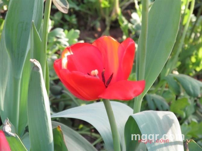 吾爱87的第21张照片