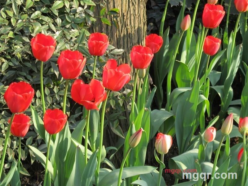 吾爱87的第19张照片