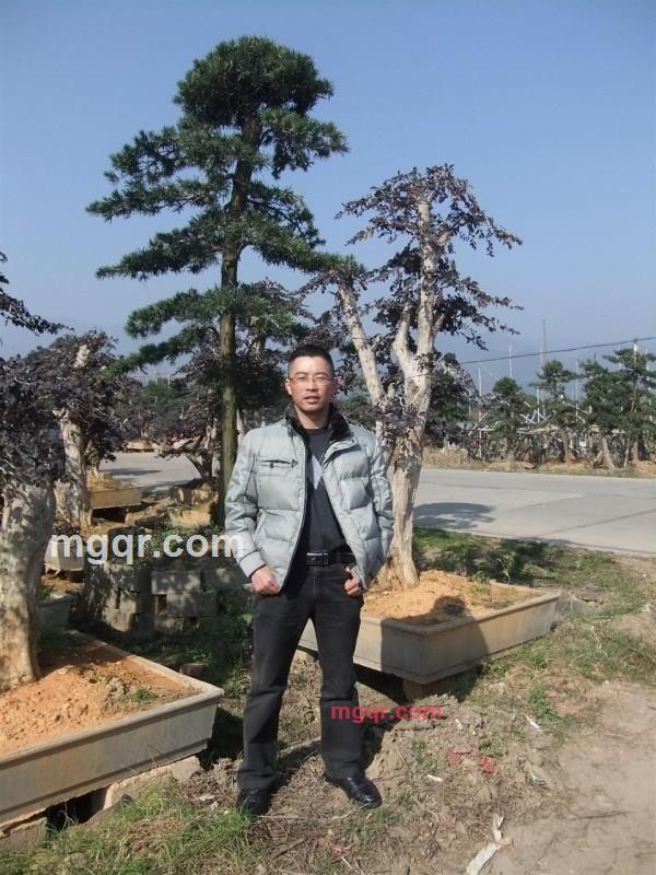 一切一切为了你的第2张照片