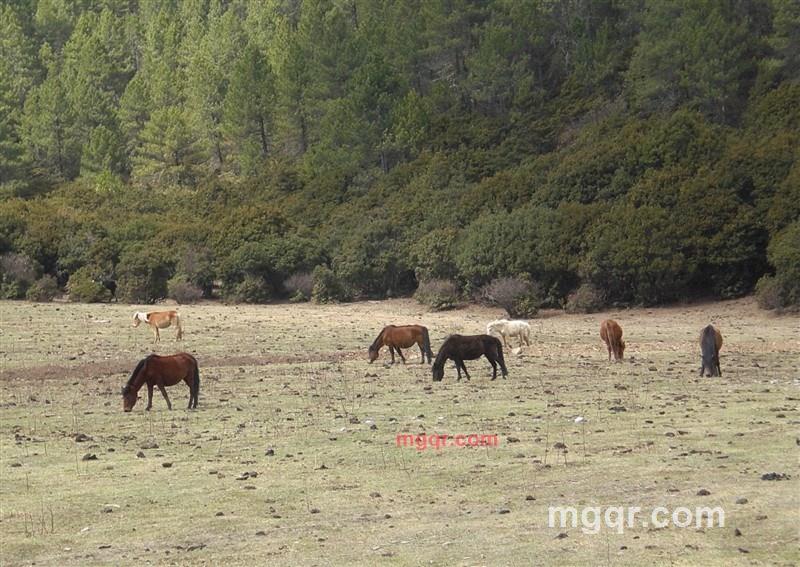 简单有味的第1张照片