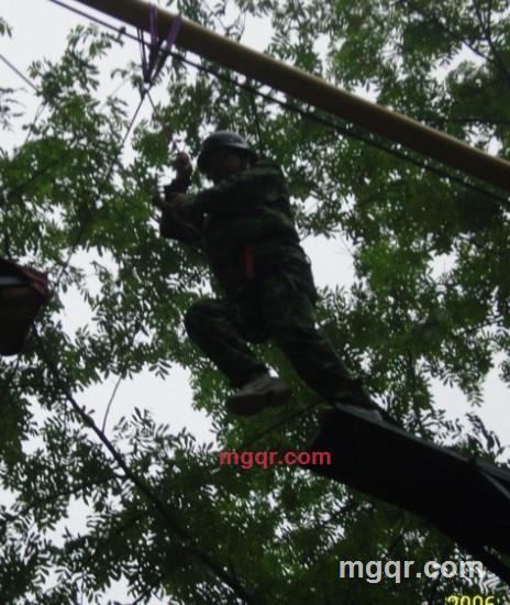 草原雄马的第1张照片