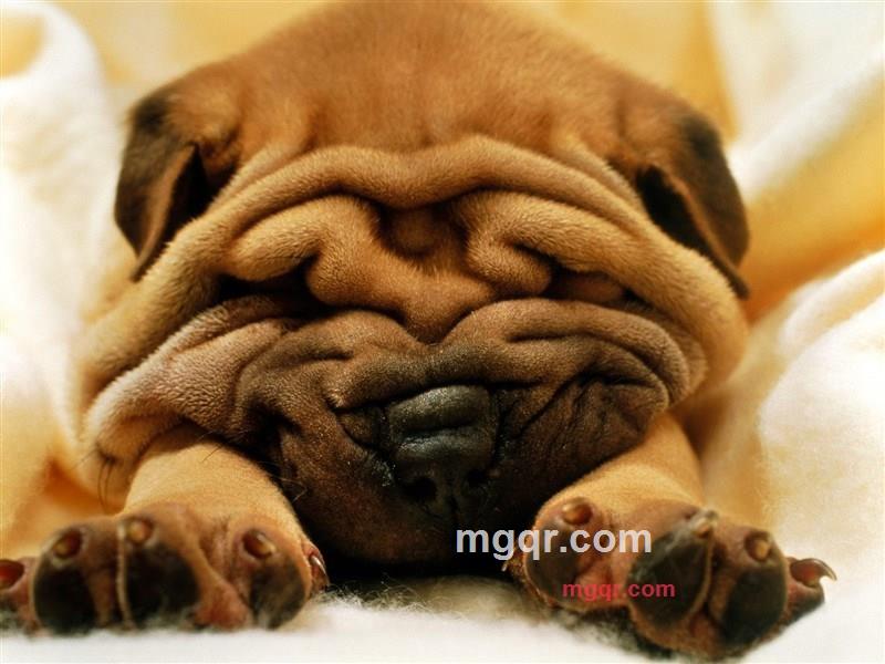 chjjlhmy的第3张照片