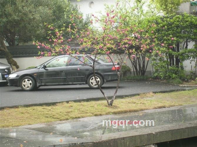 吾爱87的第16张照片