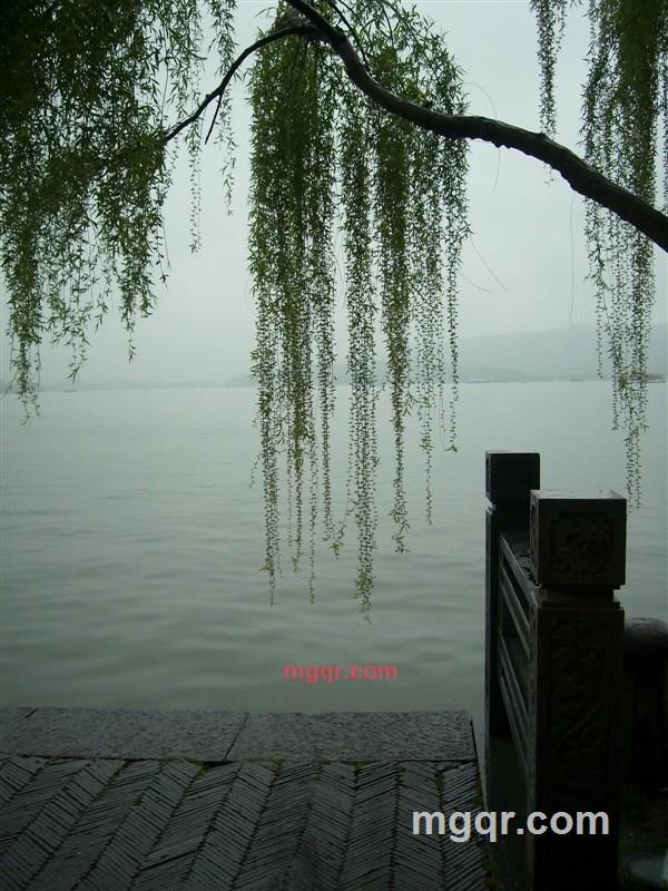 吾爱87的第14张照片