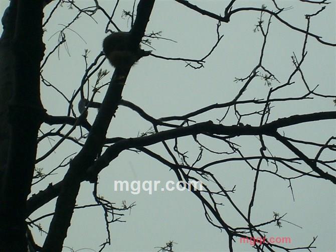 吾爱87的第13张照片