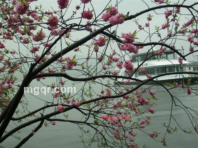 吾爱87的第18张照片