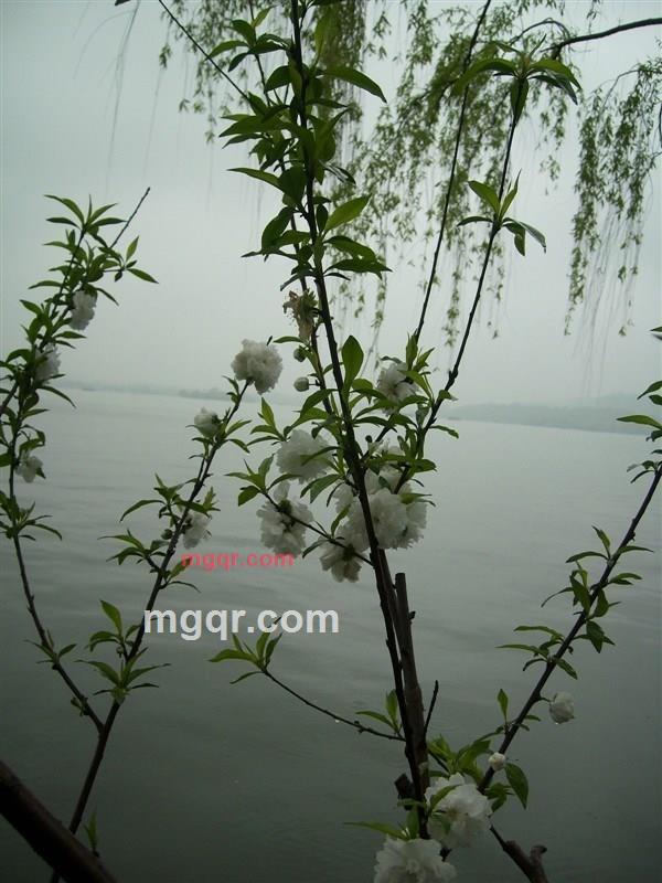 吾爱87的第17张照片